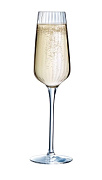 картинка Бокал для шампанского стеклянный, объем 210 мл FINEDINE магазин «Аура Дома»