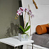 Цветочная композиция MILAN  WHITE point