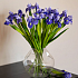Ирис (синий)