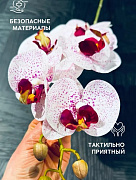 Цветок искуственный Орхидея WHITE point  магазин «Аура Дома»