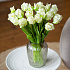 Тюльпаны, букет (бахромчатые 3 шт + закрытые 2 шт) (белый)