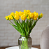 Тюльпаны, букет (бахромчатые 3 шт + закрытые 2 шт) (желтый)