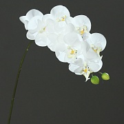 Орхидея фаленопсис искусственная, модель "Naturel", высота 80 см, цвет белый, DPI