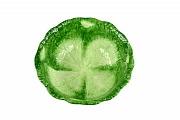 Блюдо круглое, диаметр 27 см, зеленого цвета, керамика Aura Doma магазин «Аура Дома»