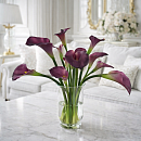 купить в один клик