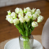 Тюльпаны, букет (бахромчатые 3 шт + закрытые 2 шт) (белый)