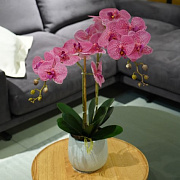 Цветочная композиция "Эмилия PINK point"  магазин «Аура Дома»