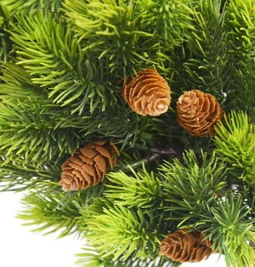 Ветка ели с шишкой