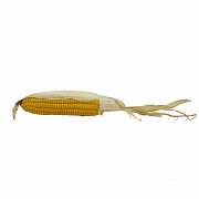 Предмет интерьера: кукуруза
