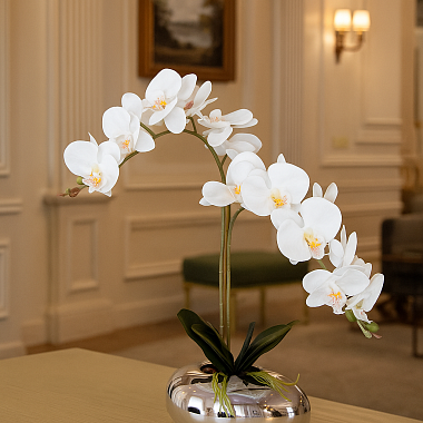 Цветочная композиция Perfetto WHITЕ