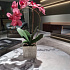 Цветочная композиция MILAN PINK point