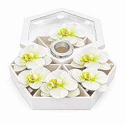 Набор колец для салфеток Орхидея, 6 шт. БЕЛЫЙ  магазин «Аура Дома»