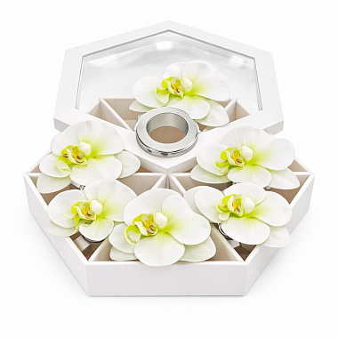 Набор колец для салфеток Орхидея, 6 шт. БЕЛЫЙ