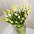 Тюльпан закрытый, букет 7 штук (белый)