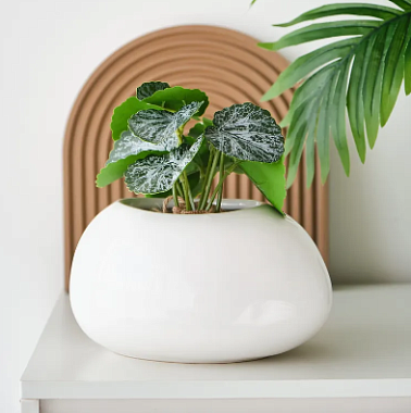 Кашпо цветочное керамическое декоративное, цвет белый, 22х19х12,5 см