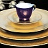 Набор столовой посуды обеденный, 41 предмет, фарфор, серия GOLDEN VELVET