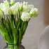Тюльпаны, букет (бахромчатые 3 шт + закрытые 2 шт) (белый)