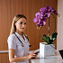 Цветочная композиция MILAN VIOLET
