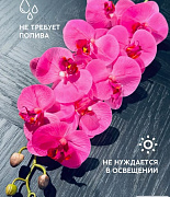 Цветок искуственный Орхидея PINK  магазин «Аура Дома»