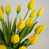 Тюльпан закрытый, букет 7 штук (желтый)