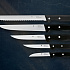 Блок с ножами WMF Classic Line 5 предметов 8/11/14/20/21 см
