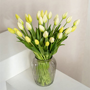 Тюльпан закрытый, букет 7 штук (белый)  магазин «Аура Дома»