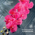 Цветок искуственный Орхидея PINK point