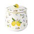Банка фарфоровая FANCY FRUIT, д. 11 см в подарочной упаковке