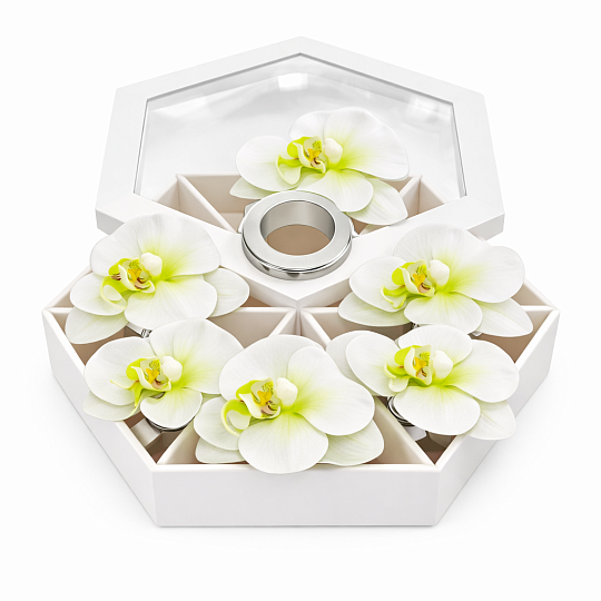 Набор колец для салфеток Орхидея, 6 шт. БЕЛЫЙ