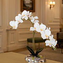 купить в один клик