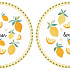 Набор тарелок фарфоровых TWIST & MATCH YELLOW (2 шт), д. 20 см в подарочной упаковке