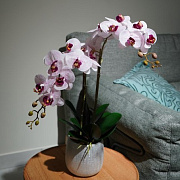 Цветочная композиция "Эмилия WHITE point"  магазин «Аура Дома»