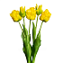Тюльпаны, букет (бахромчатые 3 шт + закрытые 2 шт) (желтый)