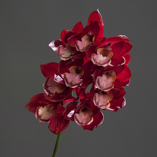 Орхидея цимбидиум искусственная, высота 65 см, цвет фуксия, DPI