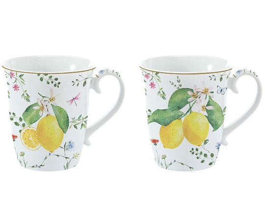Набор кружек фарфоровых FLEURS ET CITRONS (2 шт), объём 275 мл в подарочной упаковке