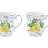 Набор кружек фарфоровых FLEURS ET CITRONS (2 шт), объём 275 мл в подарочной упаковке