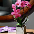 Цветочная композиция MILAN PINK point