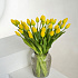 Тюльпан закрытый, букет 7 штук (желтый)
