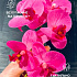Цветок искуственный Орхидея PINK