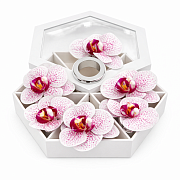 Набор колец для салфеток Орхидея, 6 шт. БЕЛОЕ В КРАПИНКУ  магазин «Аура Дома»