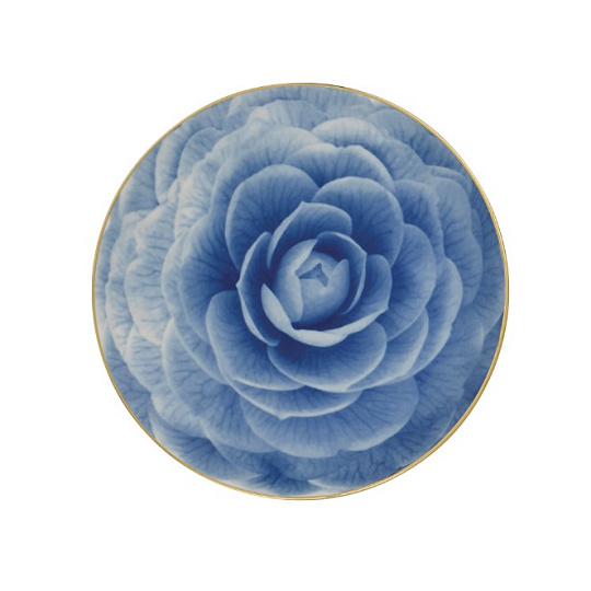 Тарелка десертная фарфоровая COUPE ROYAL BLOOM, д. 21 см