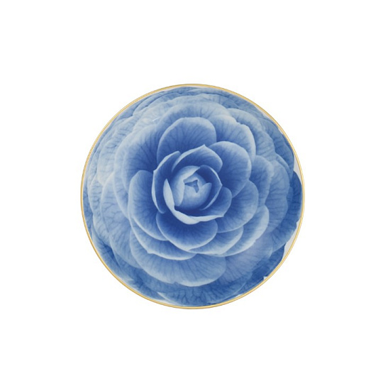 Тарелка суповая фарфоровая PASTA ROYAL BLOOM, д. 19 см