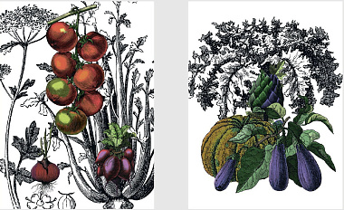Полотенце кухонное VEGETABLES, состав: 100% хлопок, размер: 50х70 см