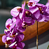 Цветочная композиция Флоренция VIOLET