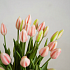 Тюльпан закрытый, букет 7 штук (розовый)
