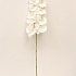 Цветок искусственный: орхидея, цвет белый, 9 соцветий, выс. 82 см
