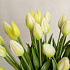 Тюльпан закрытый, букет 7 штук (белый)