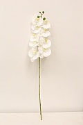 Цветок искусственный: орхидея, цвет белый, 9 соцветий, выс. 82 см  магазин «Аура Дома»