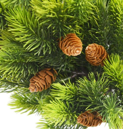 Ветка ели с шишкой