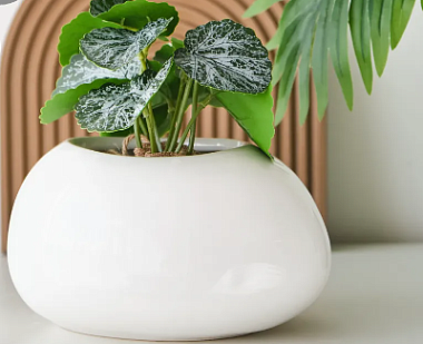 Кашпо цветочное керамическое декоративное, цвет белый, 29х23х14 см